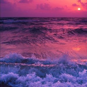 Meet your Posher, Ariana